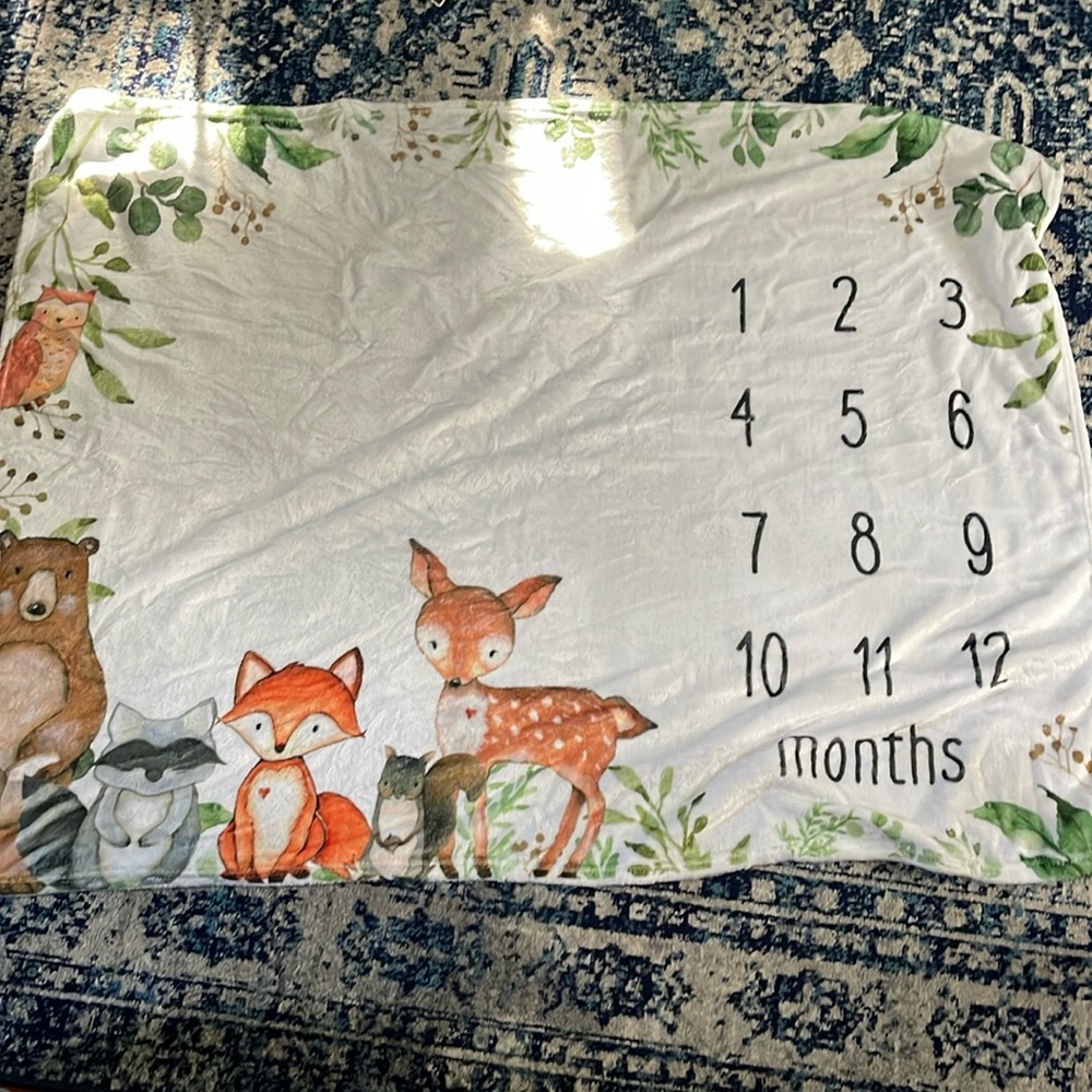Milestone blanket